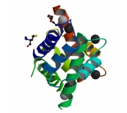 Human S-100 Protein Beta Chain (Part S100B-1mg, 1mg)
